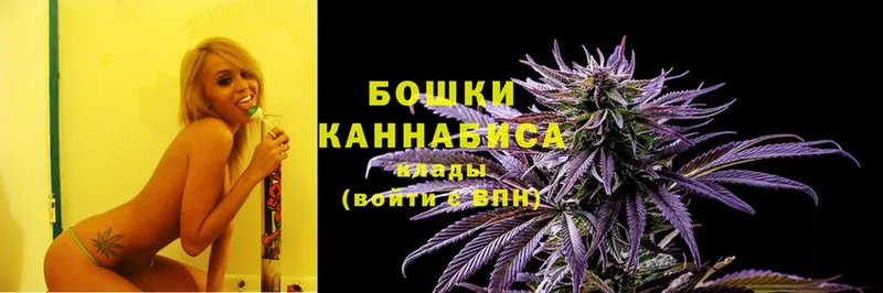 Бошки марихуана Bruce Banner  Высоцк 